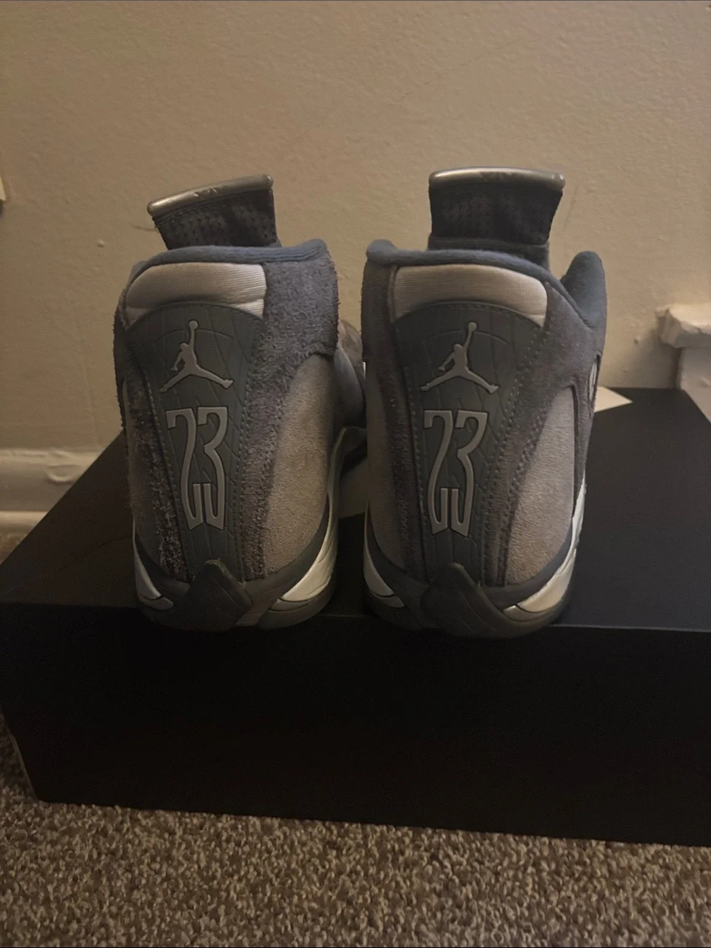 Jordan 14s cool gray color way